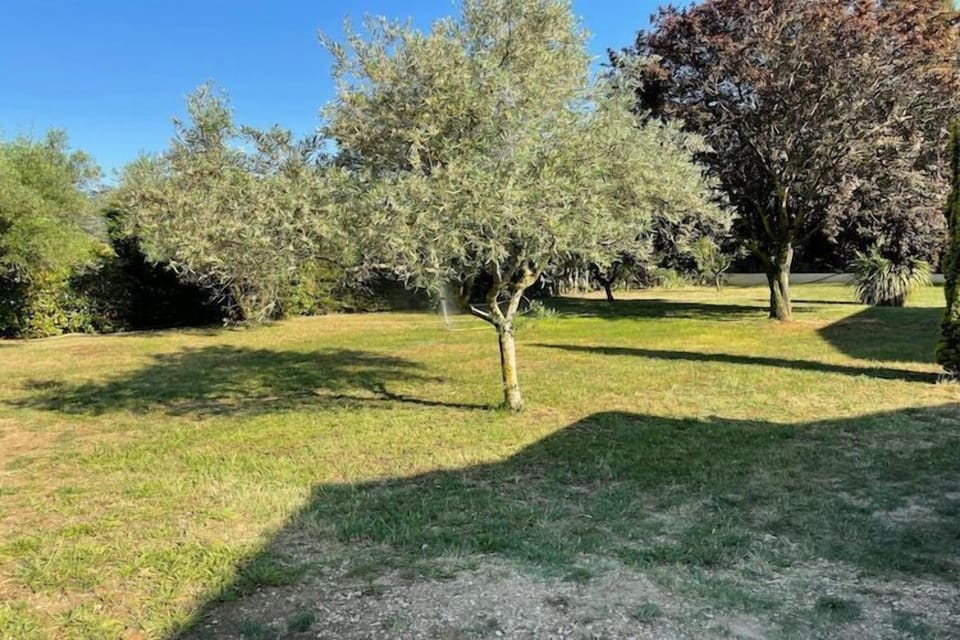 Surroundings [summer] (1-5 km)