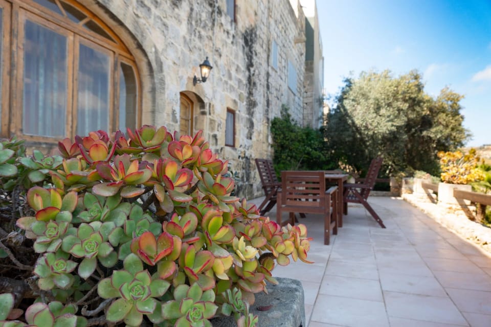 Standard Villa, Multiple Bedrooms (Villeleynah Amazing Gozitan Villa +) | Terrace/patio