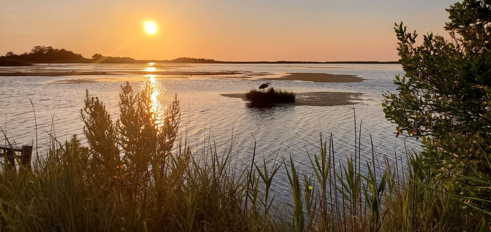 And if you love nature, Gordon's Pond is a 5 mile bike ride/walk from our home!