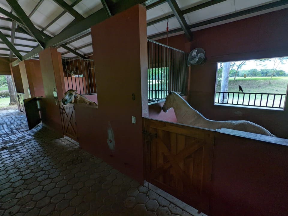 Horse stable / Establo 