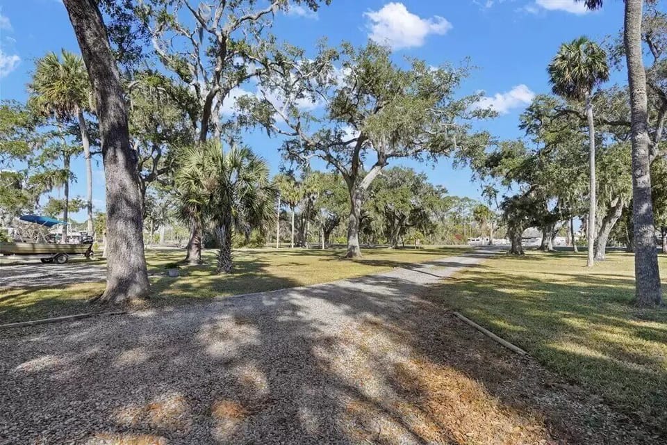 Driveway Lined w/Live Oaks and Palms