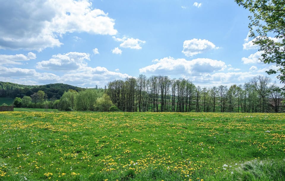 area