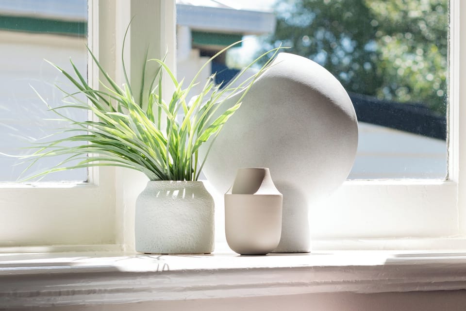 Some greenery to brighten up your day!