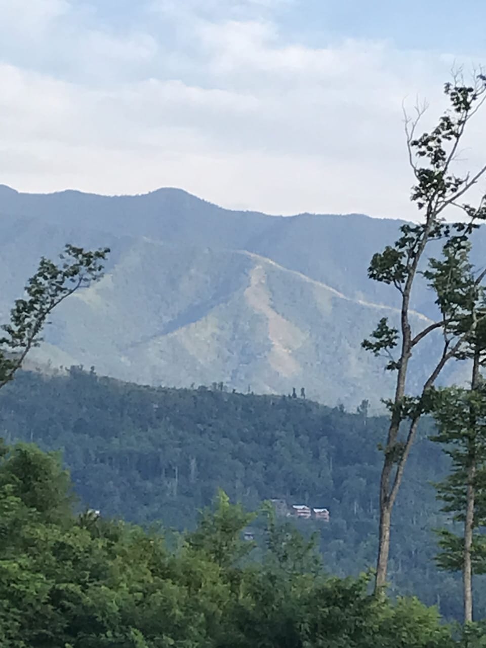 View at newfound gap
