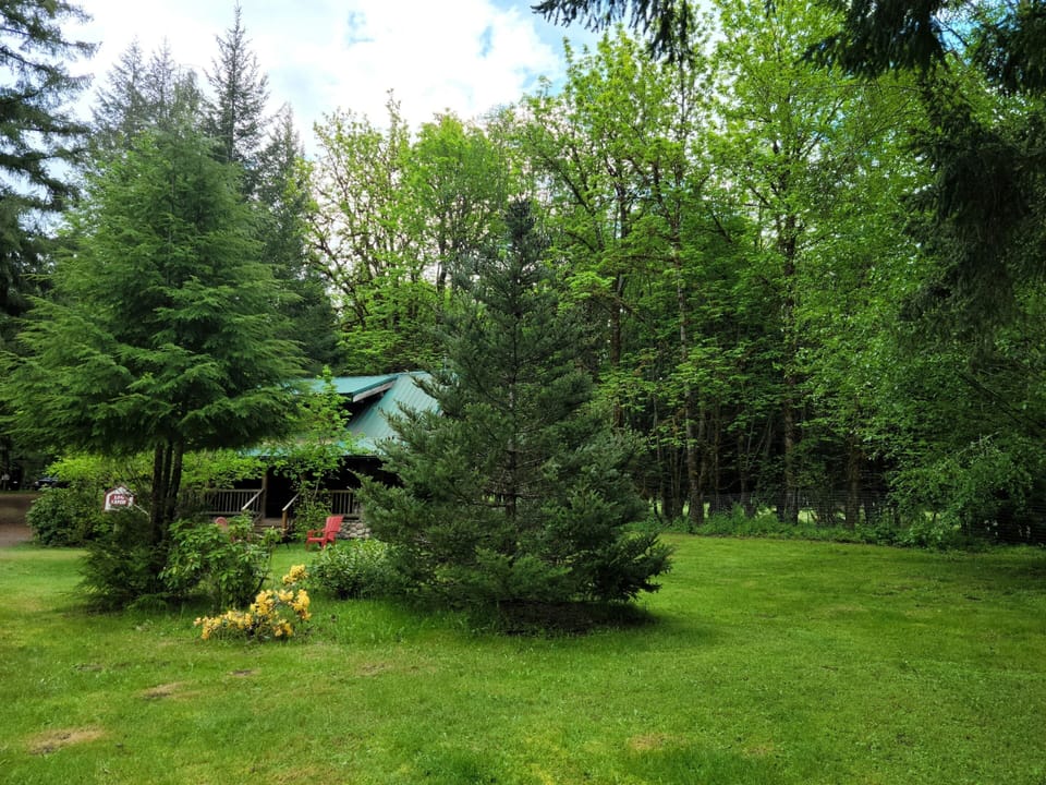 Springtime at the Log Cabin