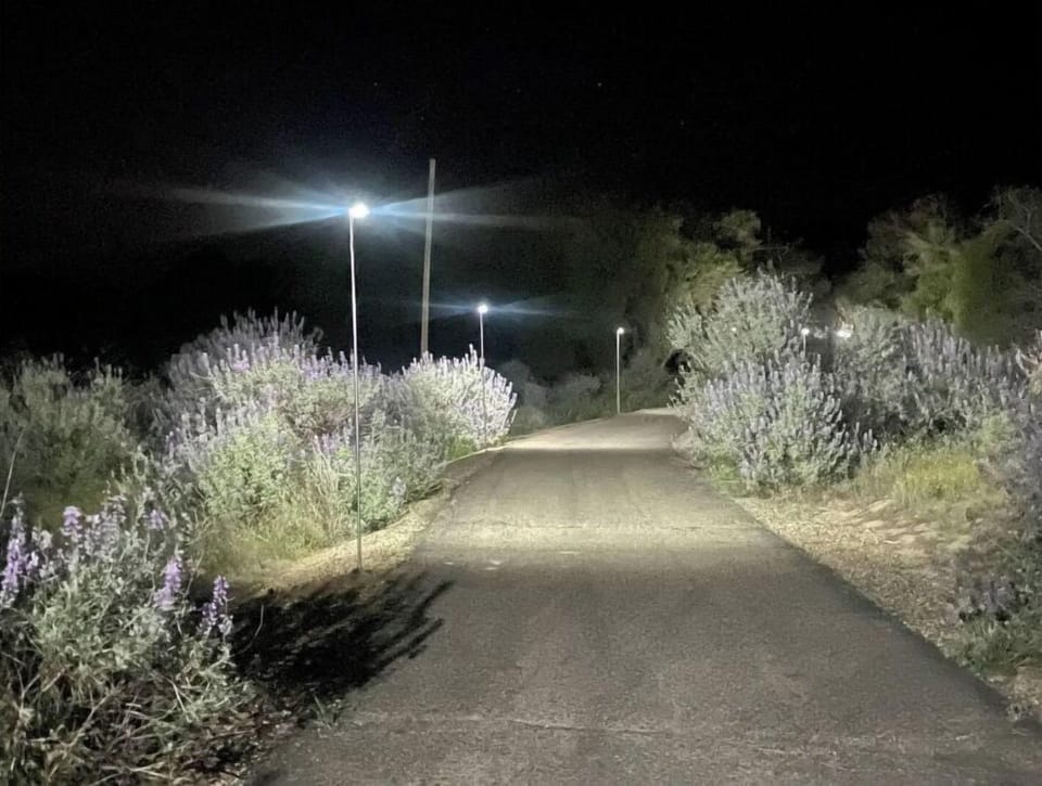 Welcoming driveway with solar lights for easy nighttime arrival