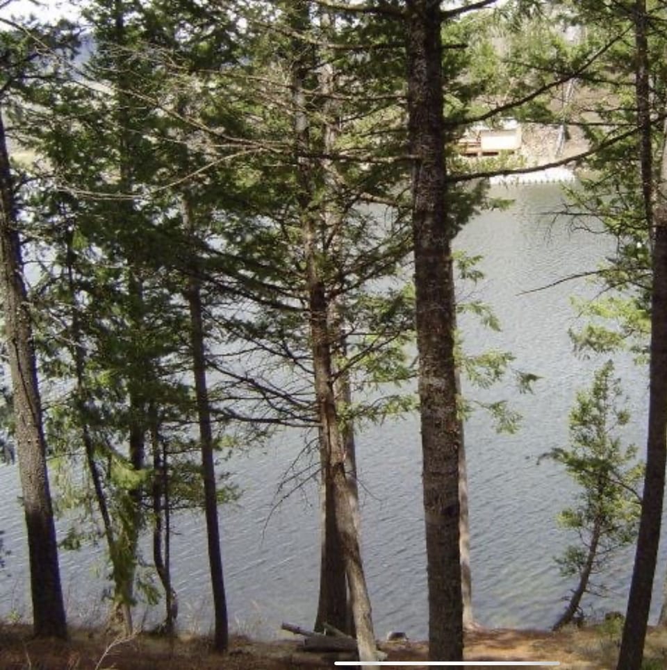 Out back of the cabin make your way down the hillside to the lake for some fishing or water fun