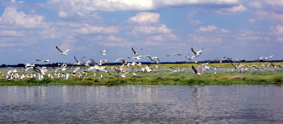 Lake