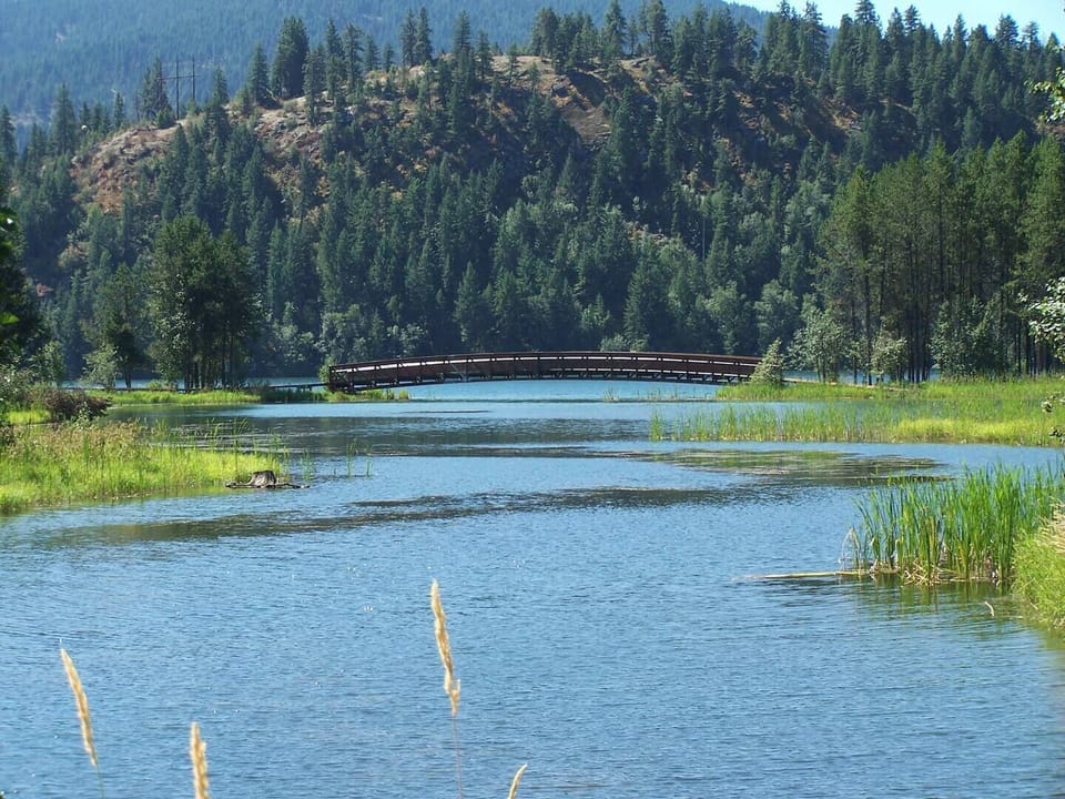 Walking Trails over Brown's Inlet Bay
