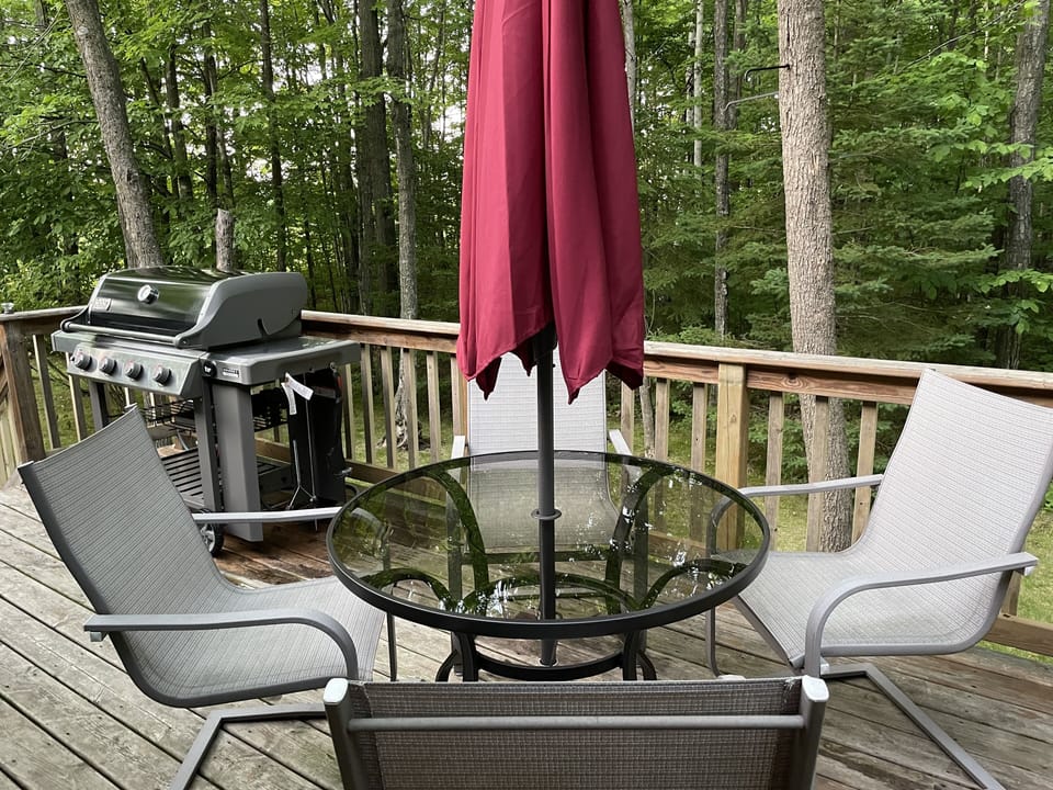 Back deck with seating for four and a gas grill