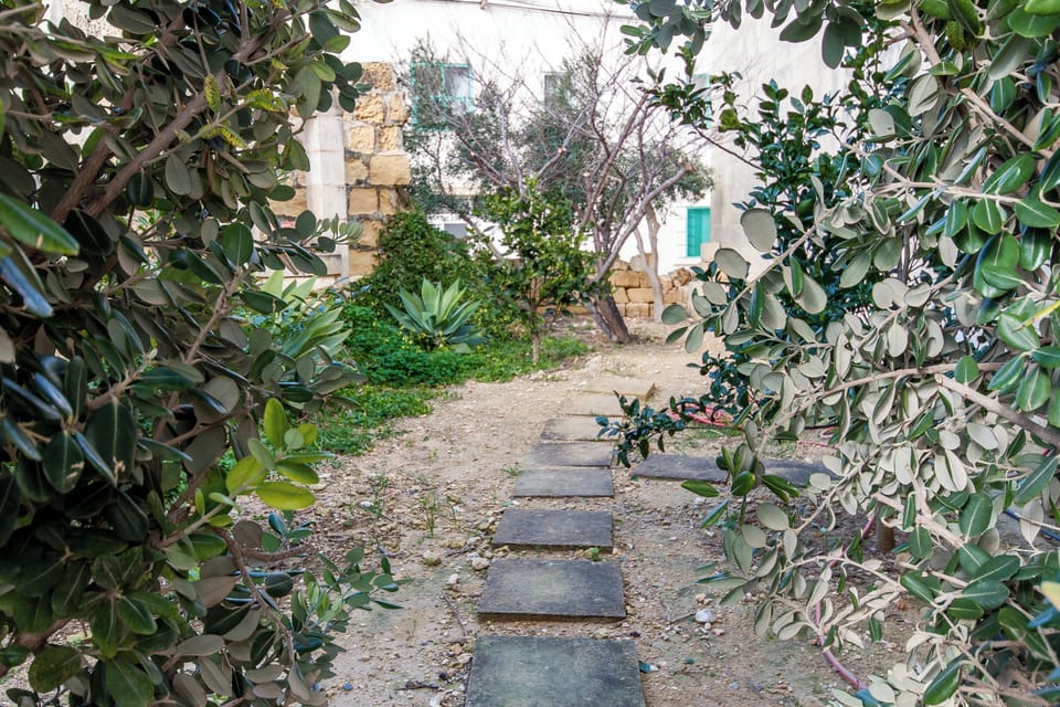 Family House, Multiple Bedrooms (Twilight Gozitan Farmhouse With Pool) | Property grounds