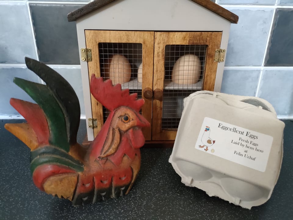 Fresh eggs from our own chickens