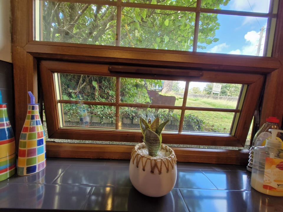 Kitchen window views to the outside spaces.