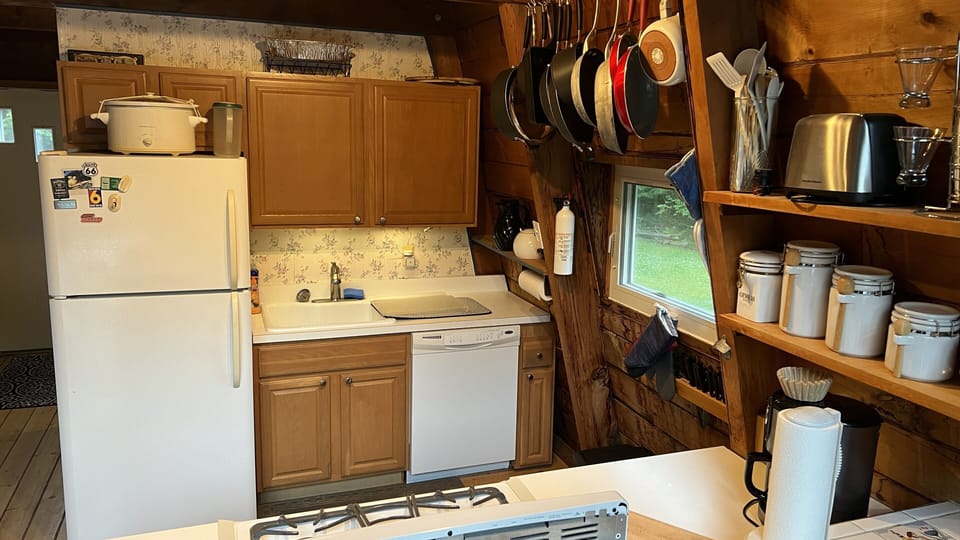 Kitchen - Fridge/sink/dishwasher 
