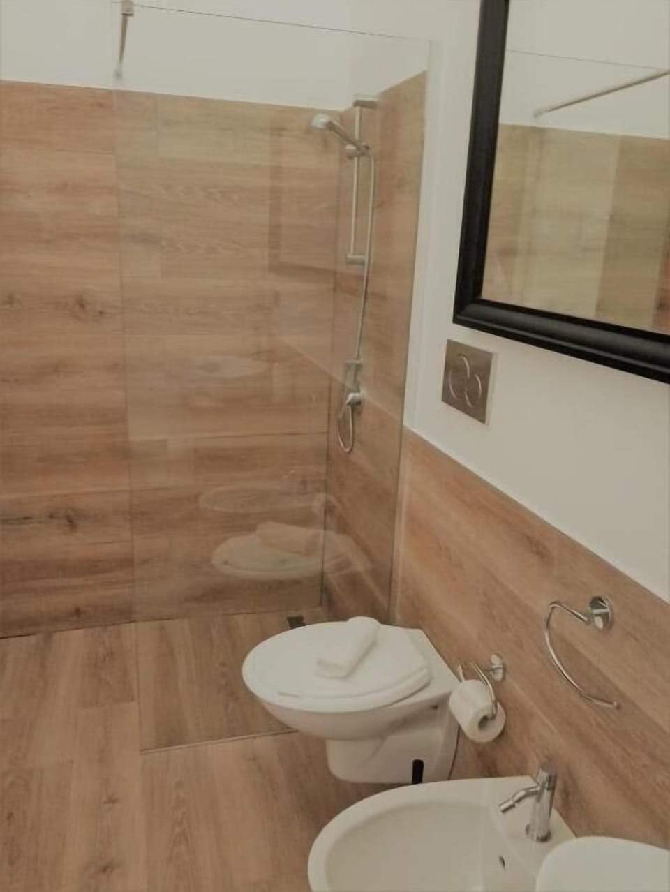 Shower, hair dryer, bidet, towels
