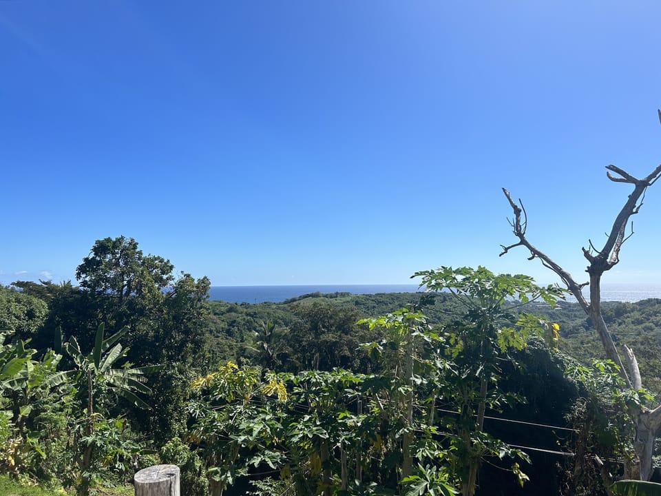 Panoramic views from the deck