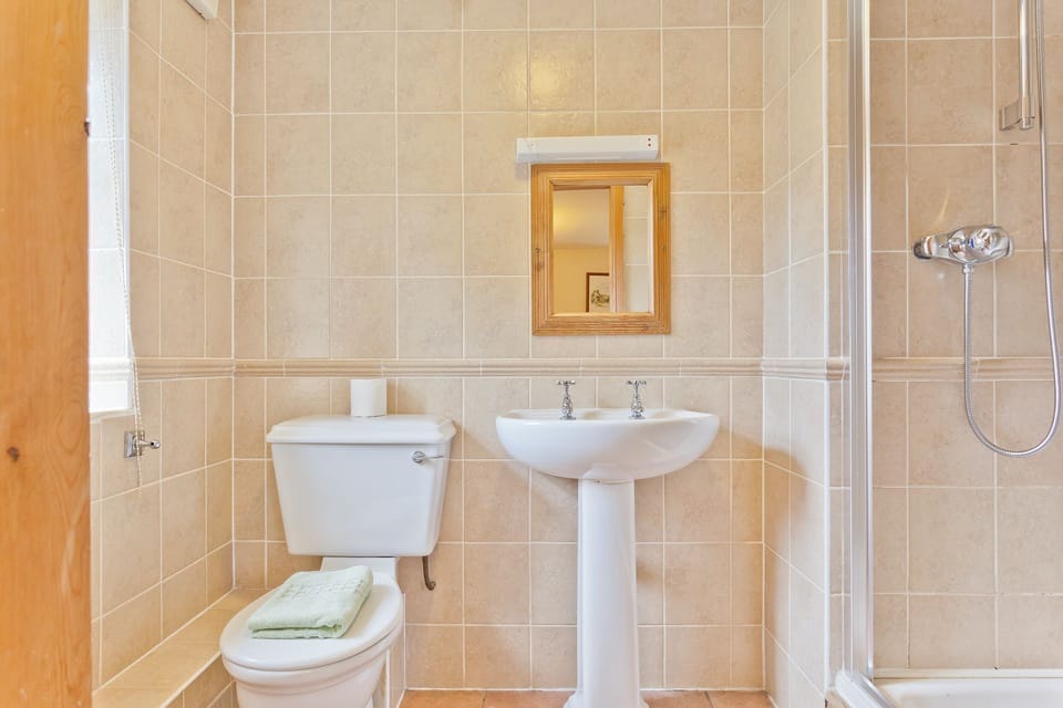 1 Dixon Ground shower room