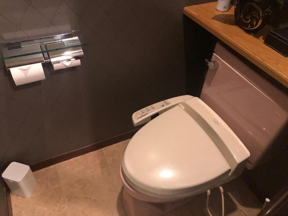 Separate tub and shower, free toiletries, hair dryer, bidet