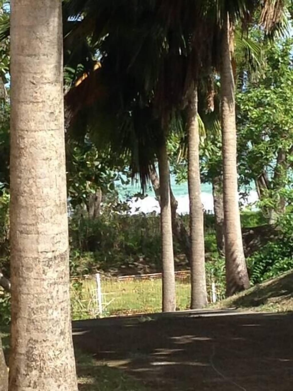 la plage au bout de l'allée du jardin