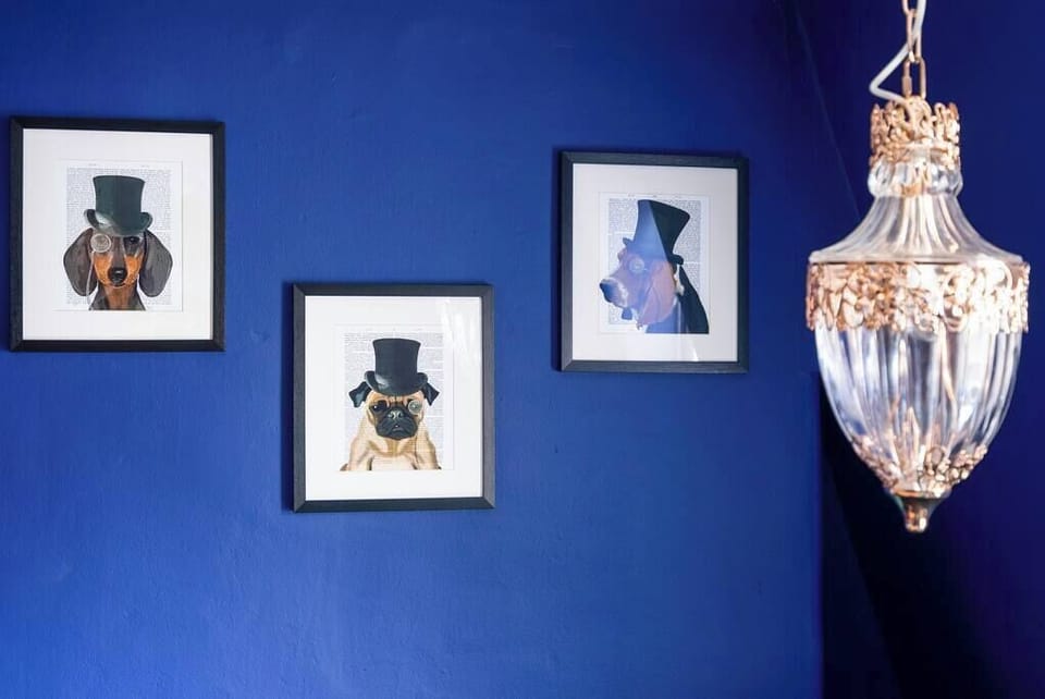 Luxuriously styled throughout with a few quirky pieces for fun!