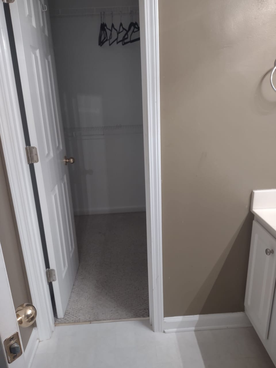 Master Bathroom Closet 