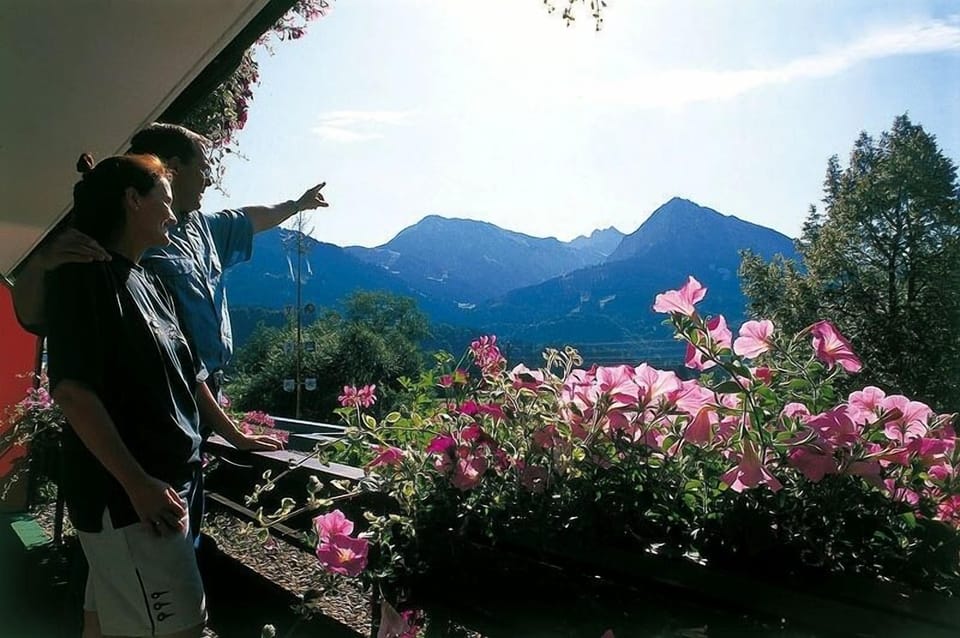 Mountain view