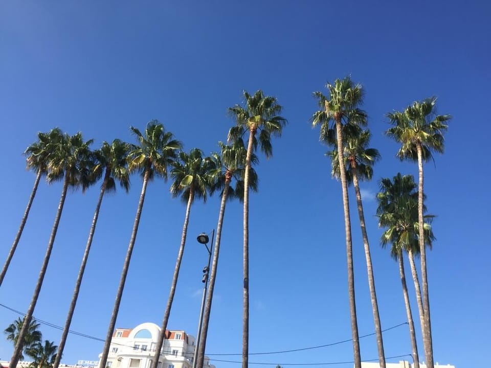 Miscellaneous