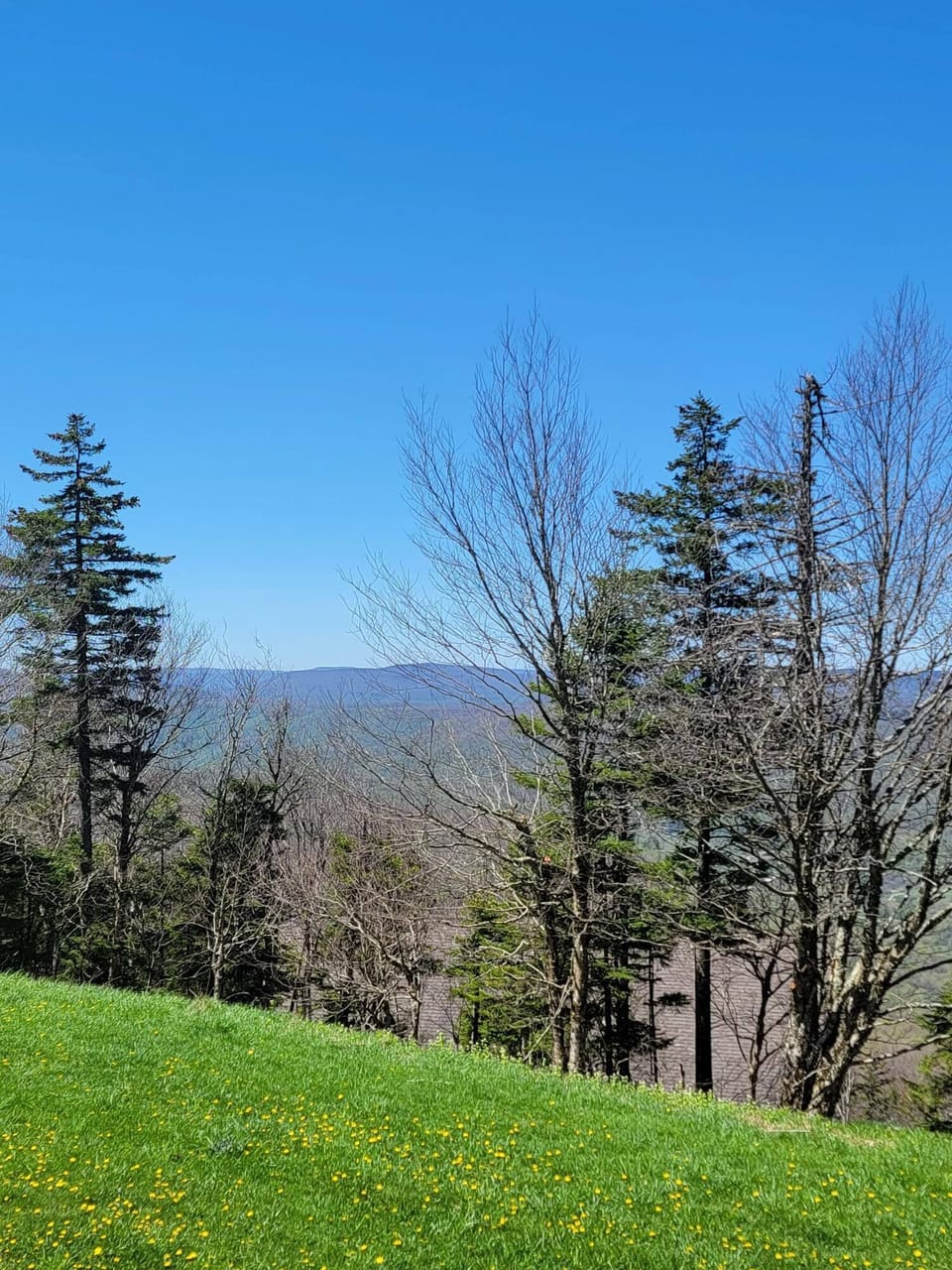 View from Summit Backyard
