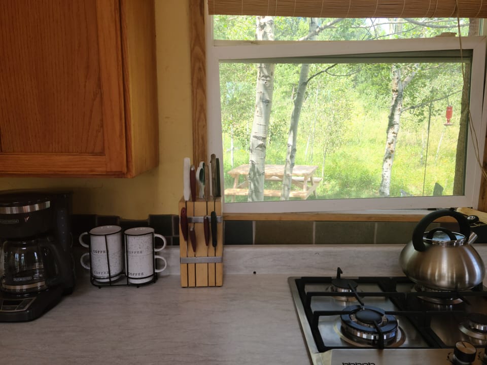 Propane stove-  Hummingbird feeders active in Summer!