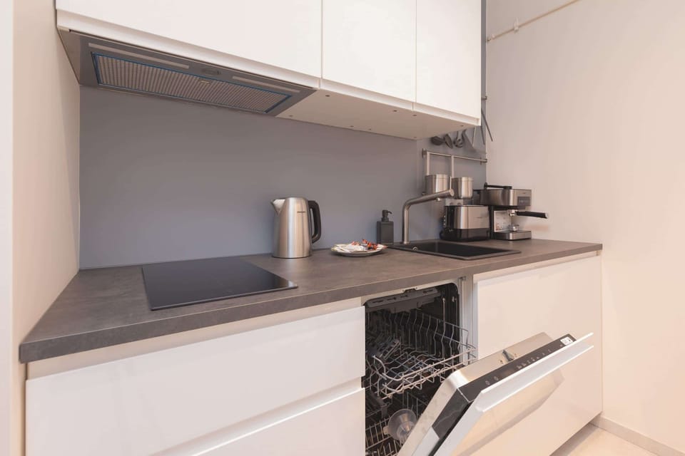 Kitchenette with induction hob, fridge, freezer, toaster, electric kettle and dishwasher.