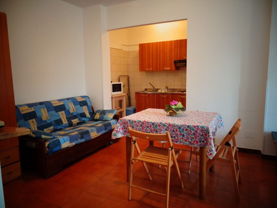Studio | Living room | 26-inch LCD TV with premium channels, TV