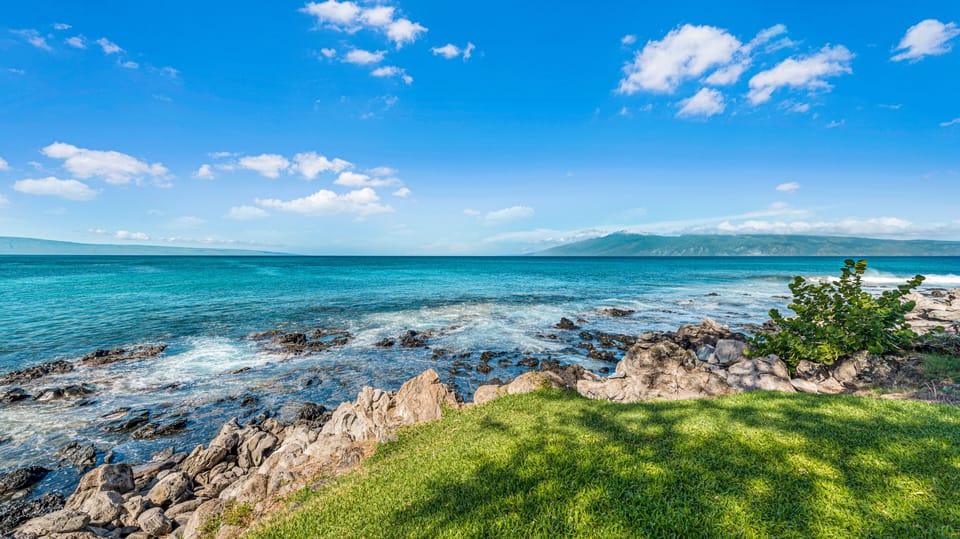 Rocky shoreline