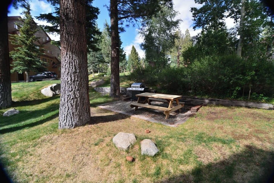Backyard area w/ picnic bench and BBQ (available seasonally).