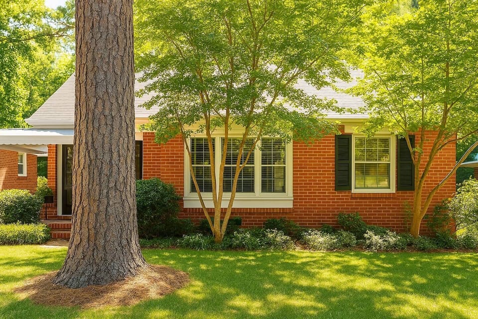 Welcome to our humble home! 