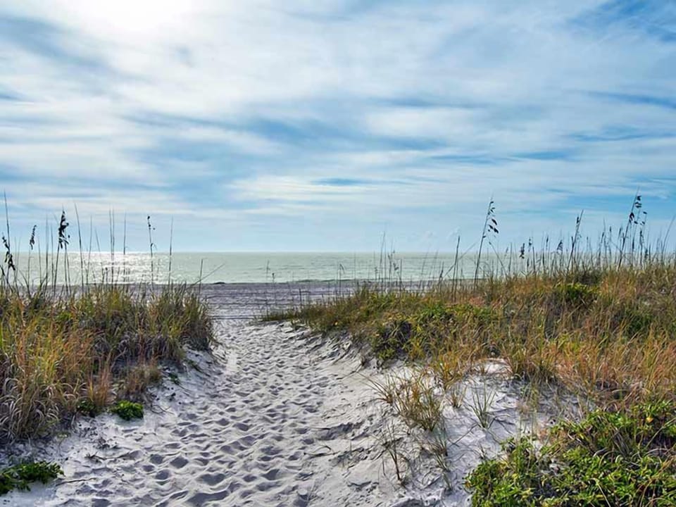 Beach Access