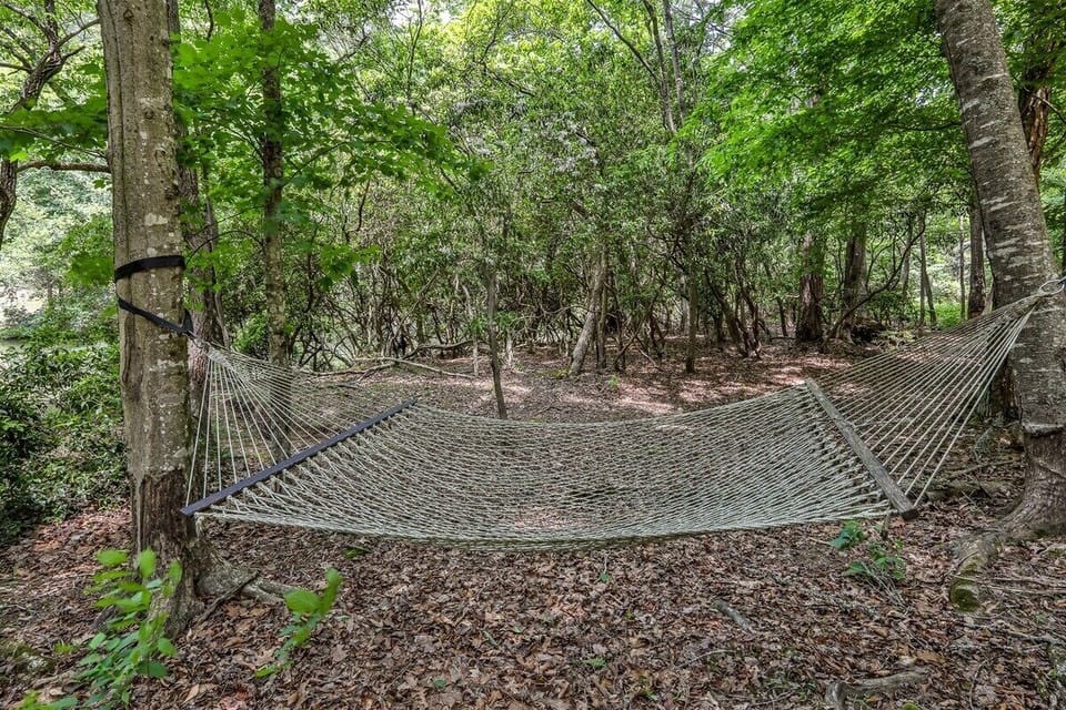 Hammock by the river