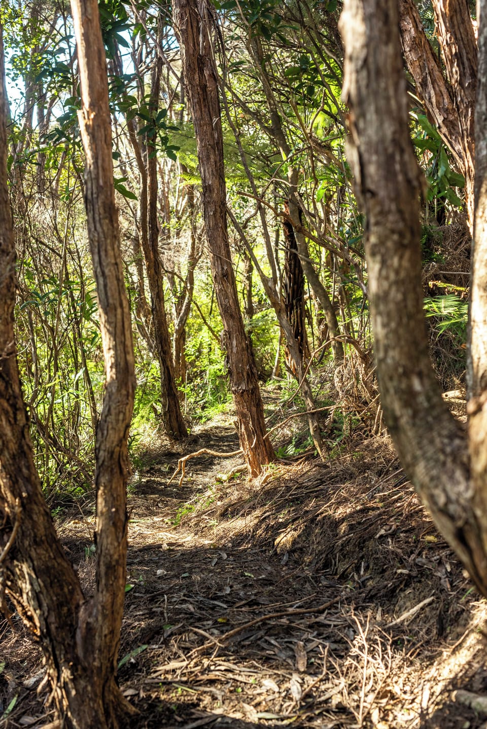 Hiking