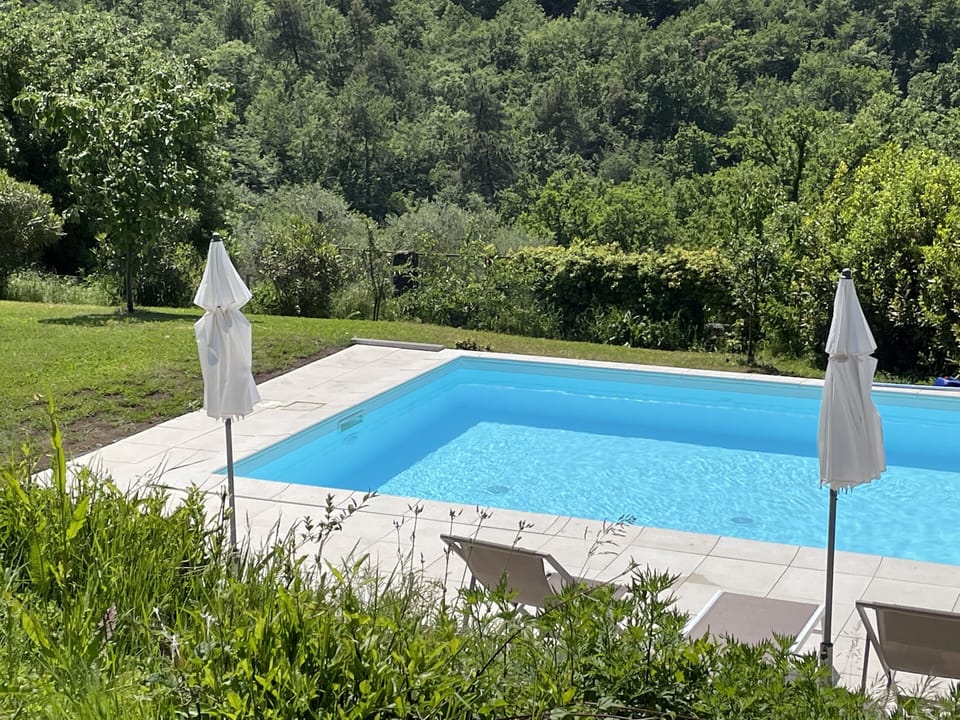 Communal swimmingpool 