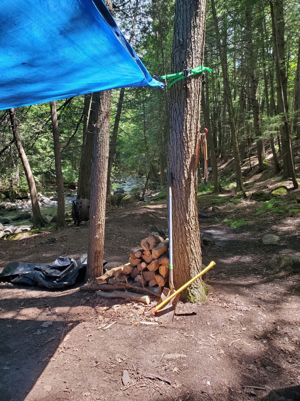 Property grounds