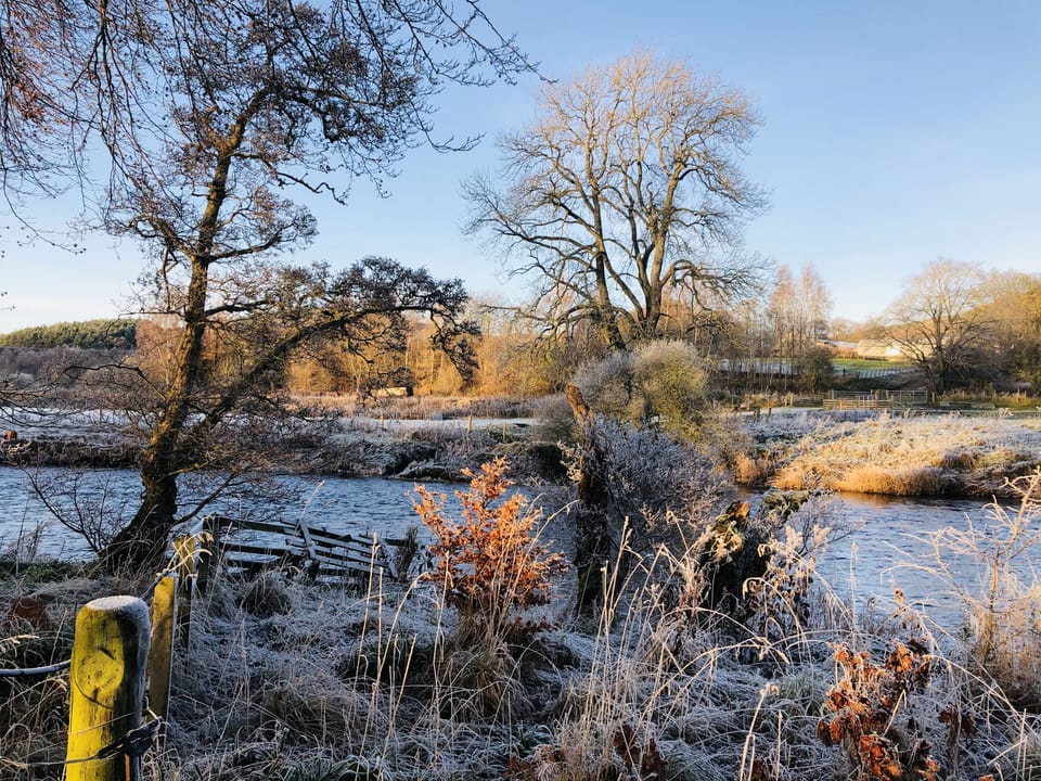 River Tweed in Winter