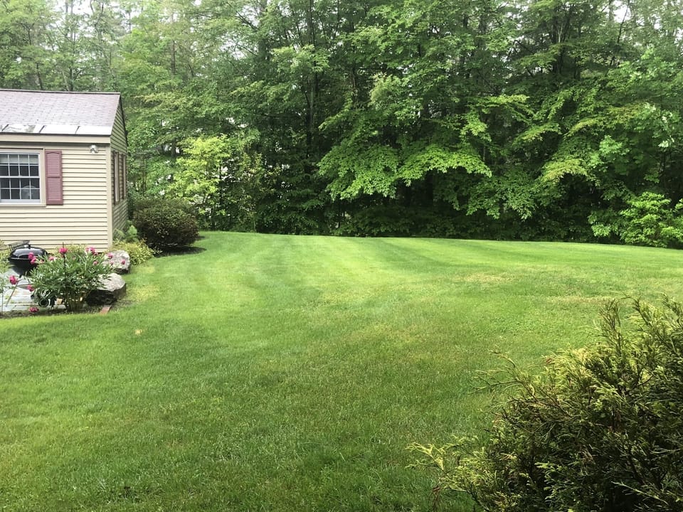 Private backyard 