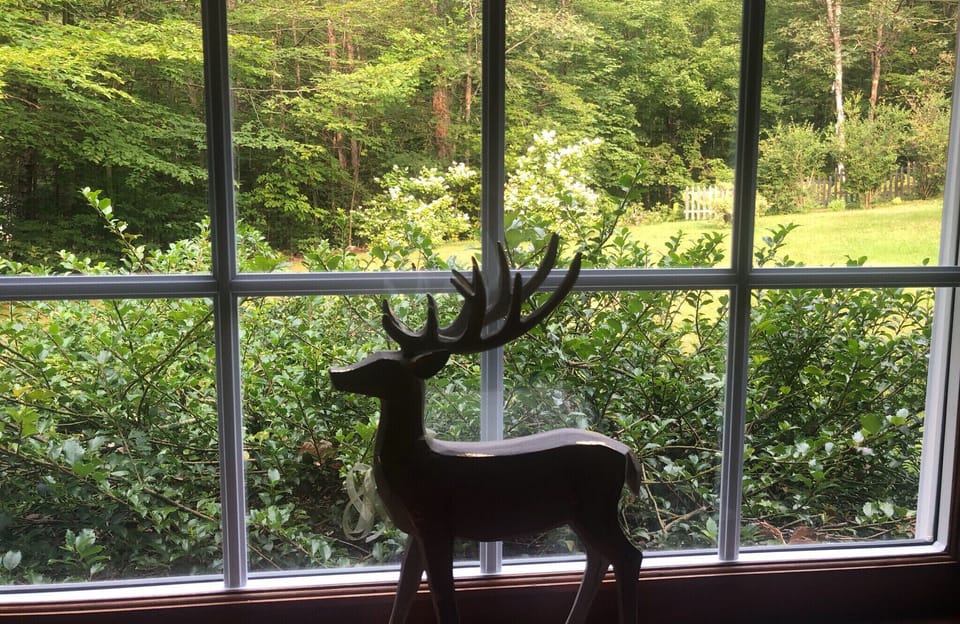 Bedroom view