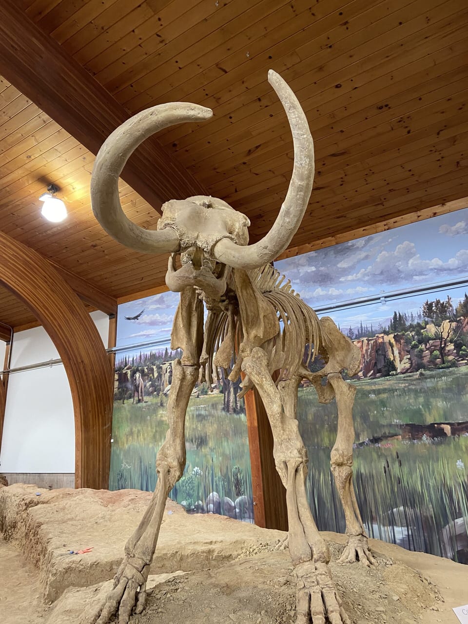 Mammoth Site - Hot Springs