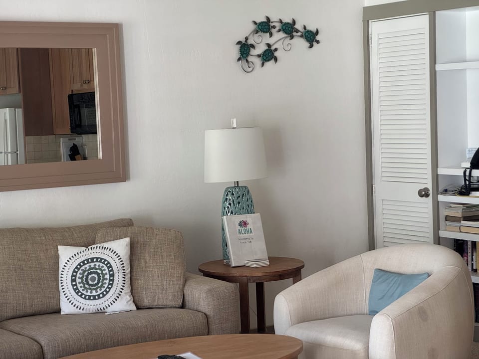 Living room closet has beach chairs, toys, coolers etc.