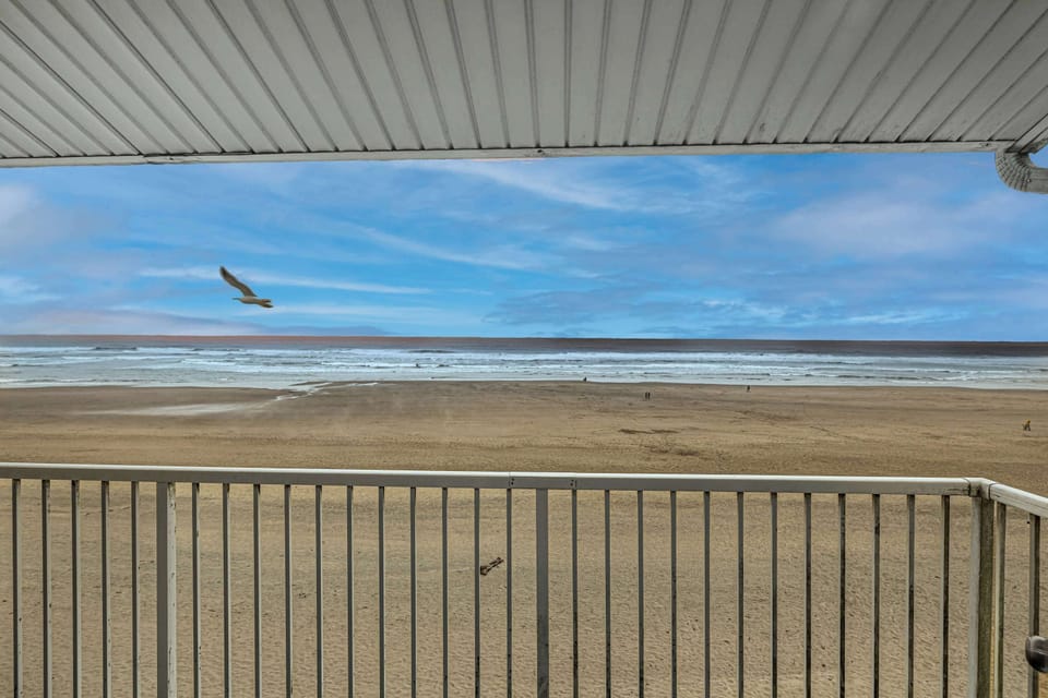 Watch the waves and seagulls 