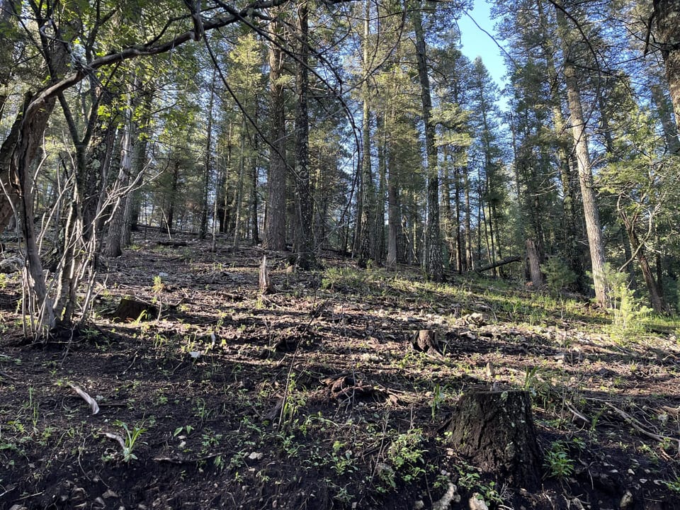 Behind cabin