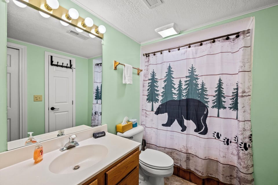 Lower-Level King Bedroom Full Bath w/Shower & Jacuzzi Tub