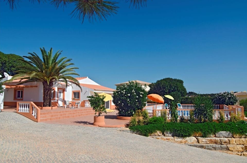 Villa Mariposa has a large terrace with majestic Washington palm right by the house. Adjacent to the terrace and driveway is the secured pool area.