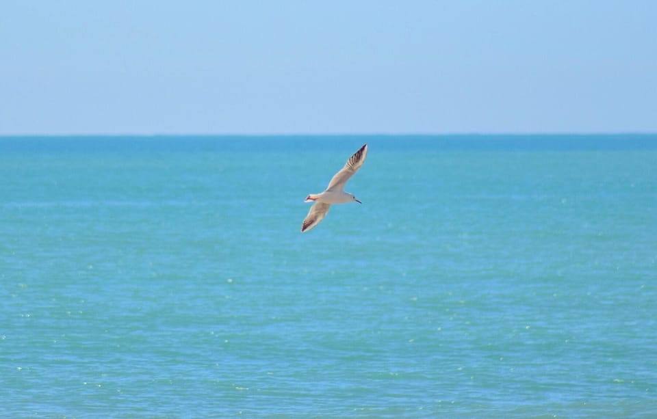 beach