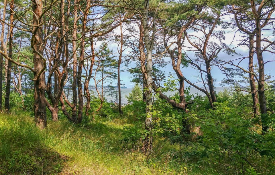 area
